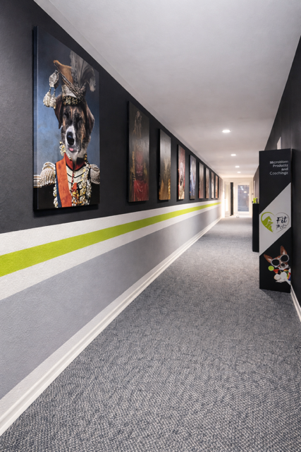 FitPetz Standort Neuss