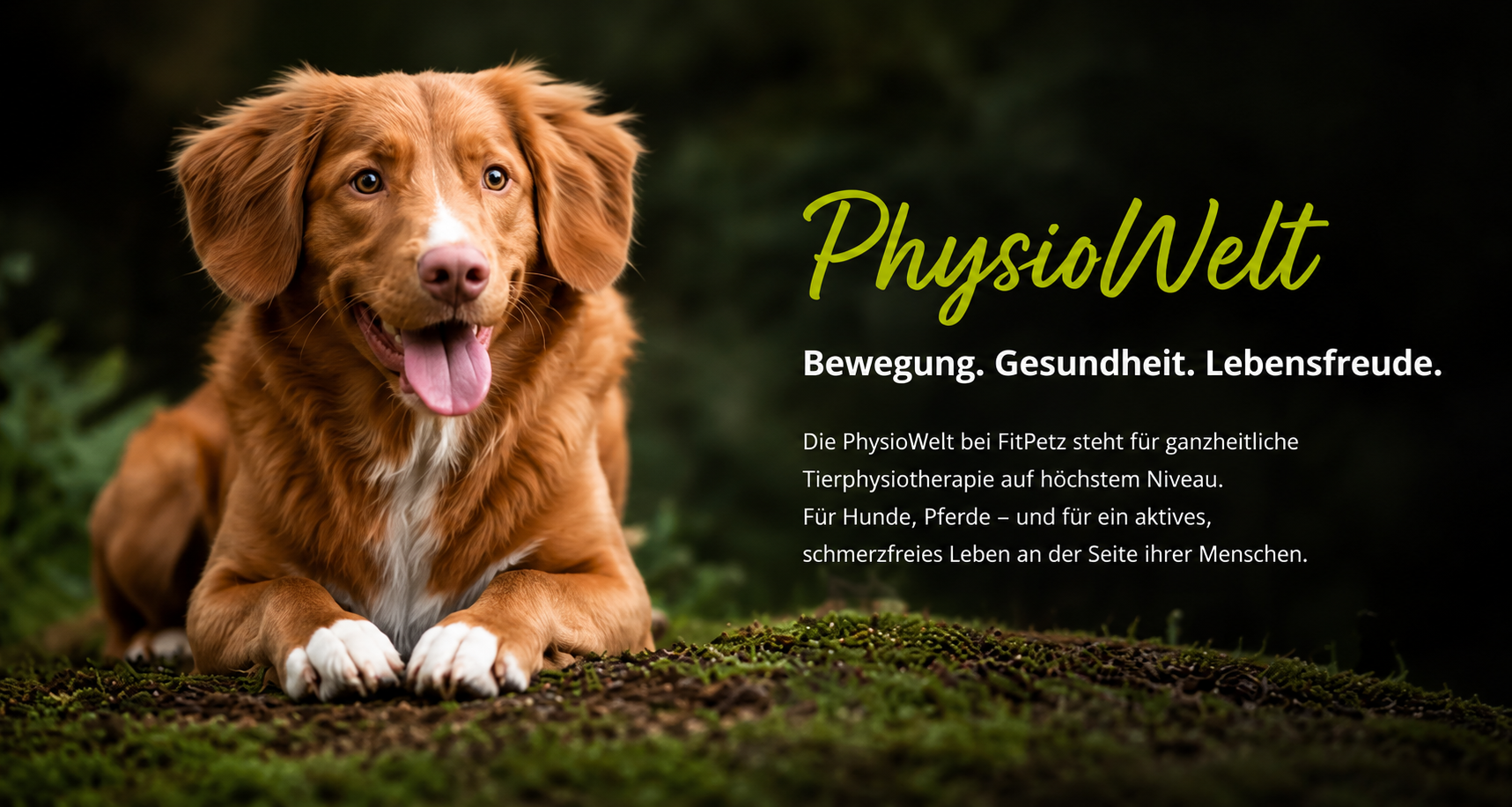 PhysioWelt bei FitPetz – Tierphysiotherapie für Hunde und Pferde in Neuss. Bewegung, Gesundheit und Lebensfreude.